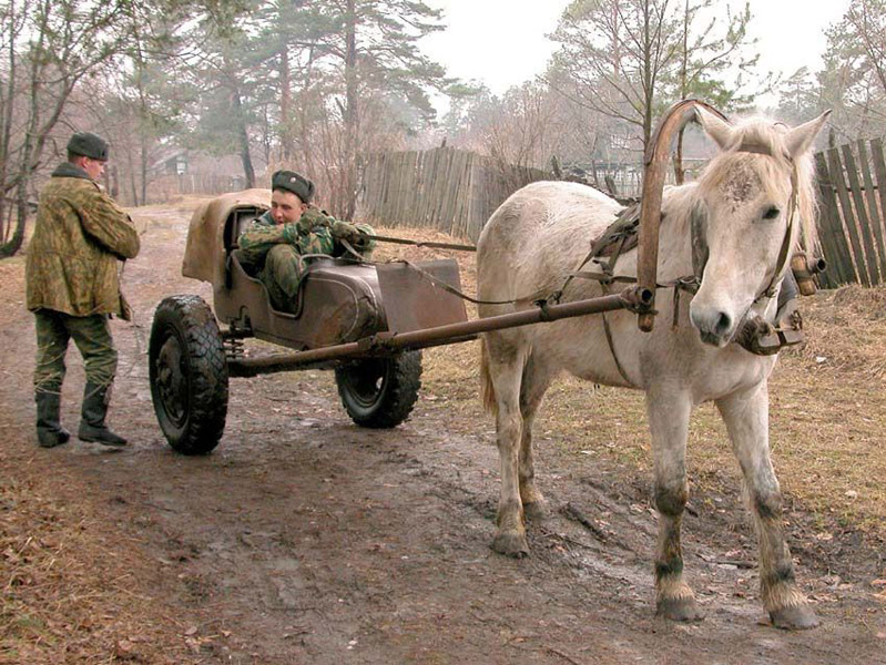 РљРѕР·РµР» РІ С‚РµР»РµРіРµ