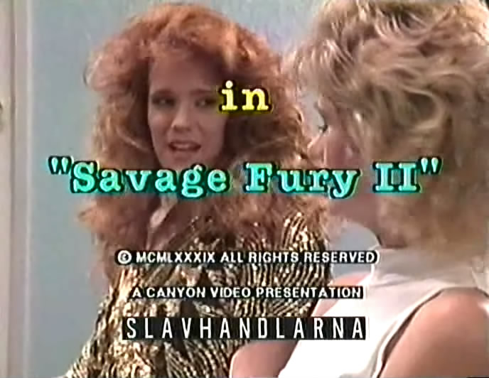 Savage Fury 2 / Дикая Ярость 2   Christy Canyon, Kimberly Kane, Mandi Wine, Tianna
