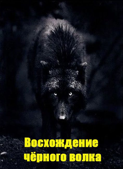 Одинокий Волк С Надписями